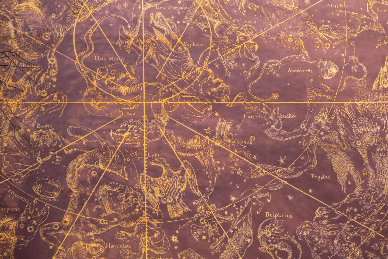 mapa de estrellas mapa de estrellas